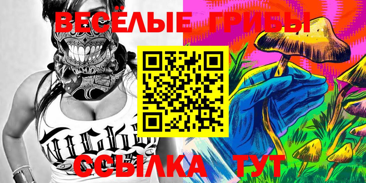 Псилоцибиновые грибы Psilocybine cubensis  Вход с VPN  Алексеевка 
