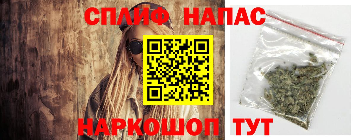 Каннабис планчик Алексеевка